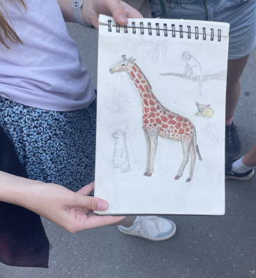 Kreslení v ZOO Dvůr Králové