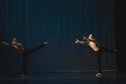 pvz_3320